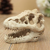 dinasour skull 8.5x5.5X4.5cm